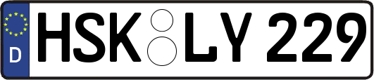HSK-LY229