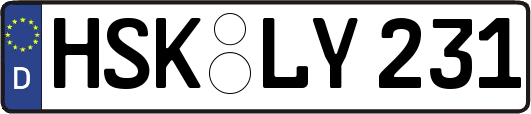 HSK-LY231