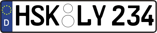 HSK-LY234