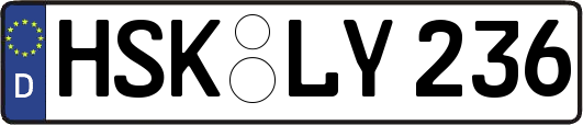 HSK-LY236