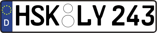 HSK-LY243