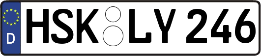 HSK-LY246