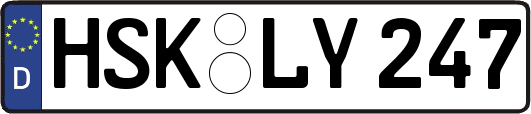 HSK-LY247