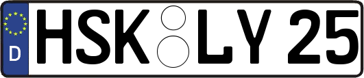 HSK-LY25