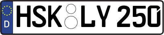 HSK-LY250