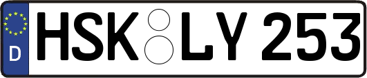 HSK-LY253