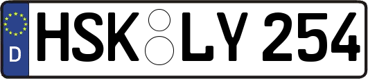 HSK-LY254