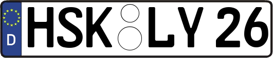HSK-LY26