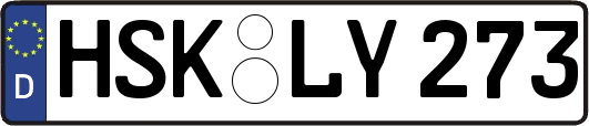 HSK-LY273