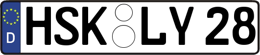 HSK-LY28