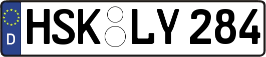 HSK-LY284