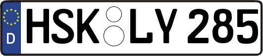 HSK-LY285
