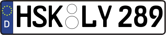 HSK-LY289