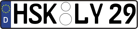HSK-LY29