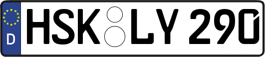 HSK-LY290