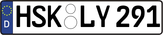 HSK-LY291