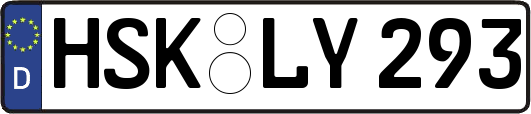 HSK-LY293