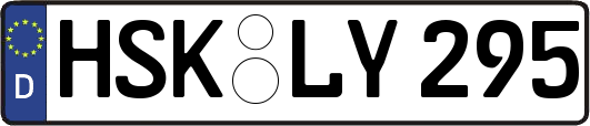 HSK-LY295