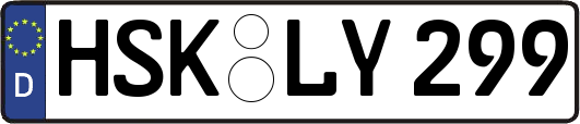 HSK-LY299