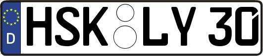 HSK-LY30