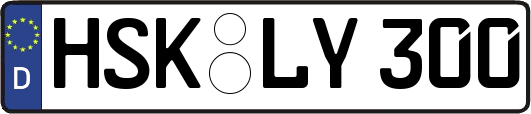 HSK-LY300