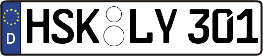 HSK-LY301
