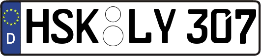 HSK-LY307