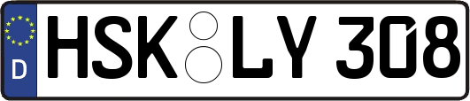 HSK-LY308