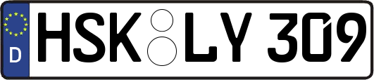 HSK-LY309