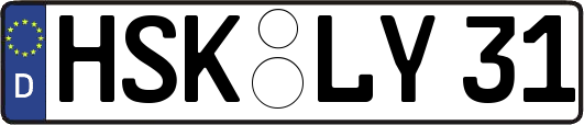HSK-LY31