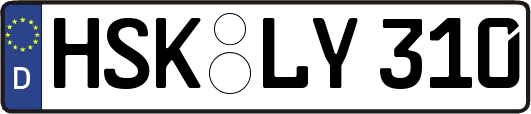 HSK-LY310