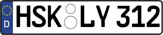 HSK-LY312