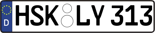 HSK-LY313