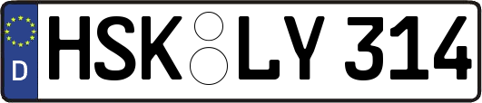 HSK-LY314