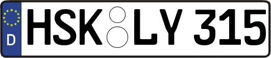 HSK-LY315