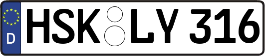 HSK-LY316