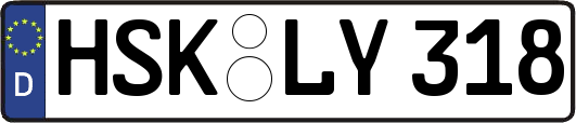 HSK-LY318