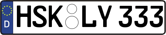 HSK-LY333