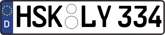 HSK-LY334