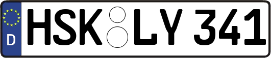 HSK-LY341