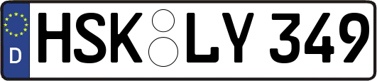 HSK-LY349