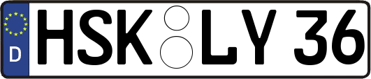 HSK-LY36