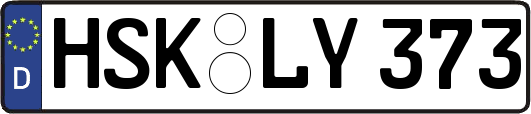 HSK-LY373
