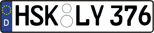 HSK-LY376