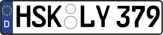 HSK-LY379