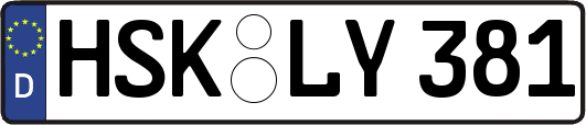 HSK-LY381