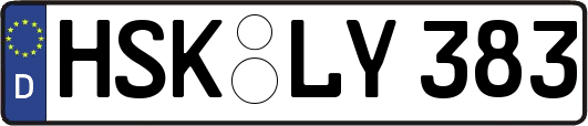 HSK-LY383