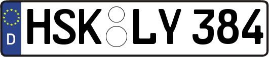 HSK-LY384