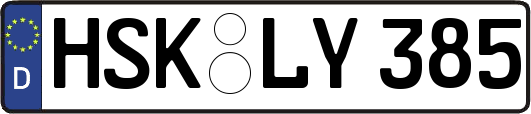 HSK-LY385