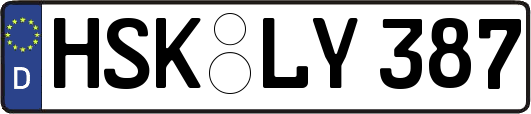 HSK-LY387